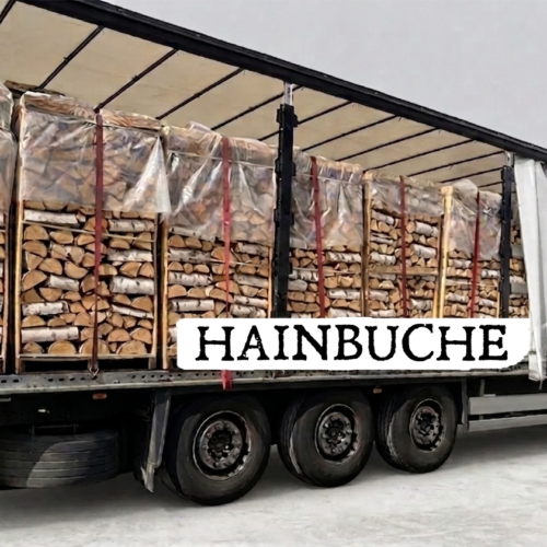 LKW-Ladung Brennholz – Hainbuche – 30/33 cm – kammergetrocknet – 1,8 RM Paletten