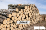 Stammholz Birke – LKW-Ladung flexibel (20 RM oder 40 RM)