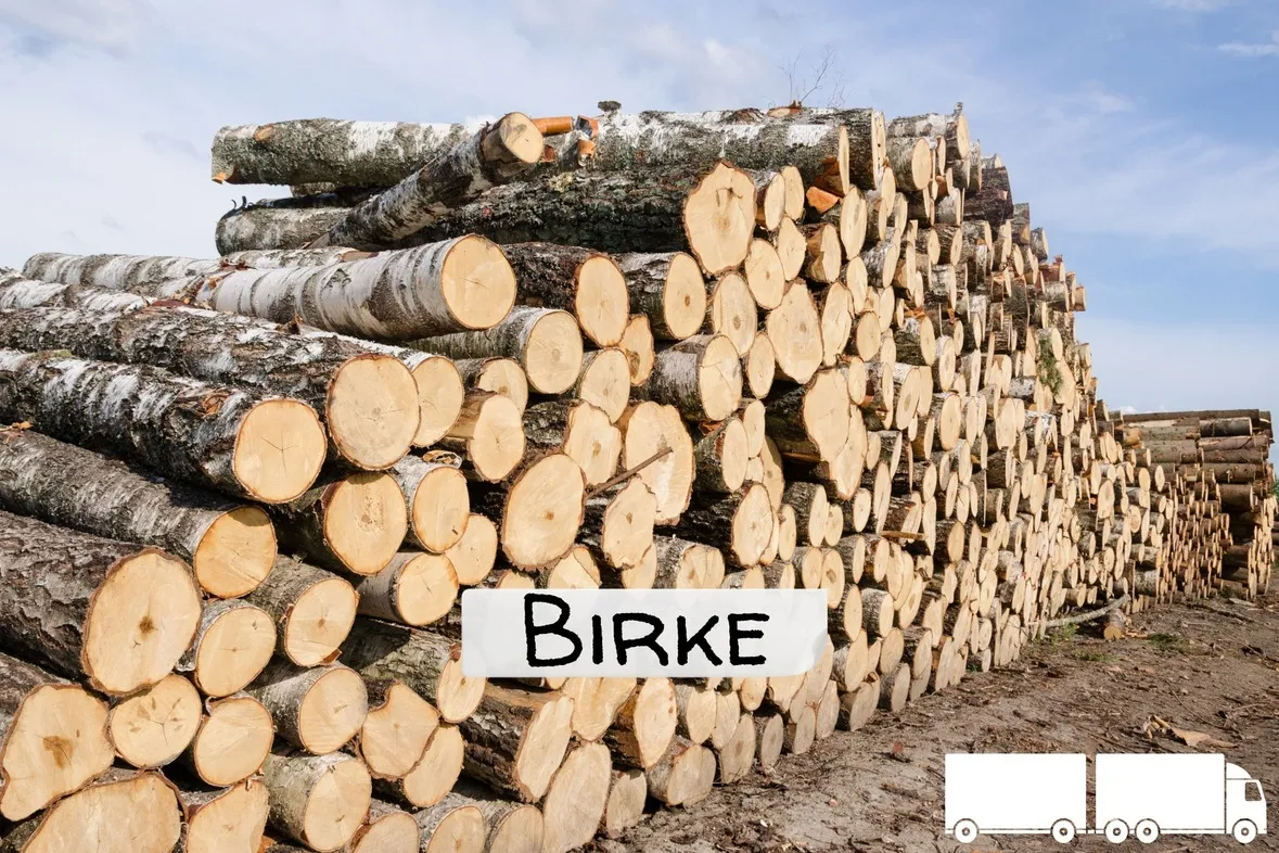 Briketts