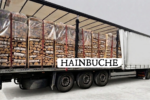 LKW-Ladung Brennholz - Hainbuche - 30/33 cm - kammergetrocknet - 1,8 RM Paletten